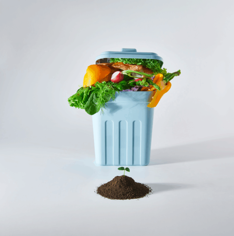 Simpler recycling – Food waste collections and more